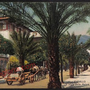 ag1396 - CARTOLINA D'EPOCA - Genova Provincia - Rapallo  1915