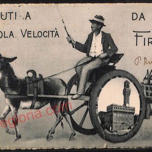 ae7165 - CARTOLINA D'EPOCA - Firenze Città