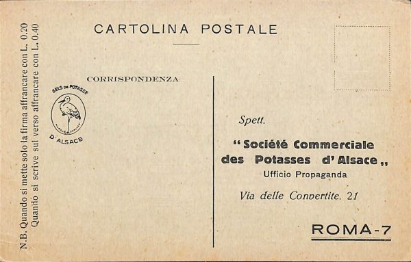 ad7801 - CARTOLINA D'EPOCA - Roma Città