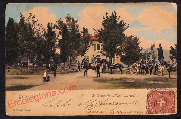 ag1991 - CARTOLINA D'EPOCA- Grosseto Città - Cavalli