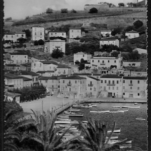 ac7673 - CARTOLINA D'EPOCA - Livorno Provincia - Isola D' Elba - Porto Azzurro