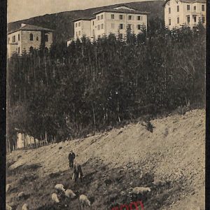 ag0052 - CARTOLINA D'EPOCA - Firenze Provincia - Vallombrosa
