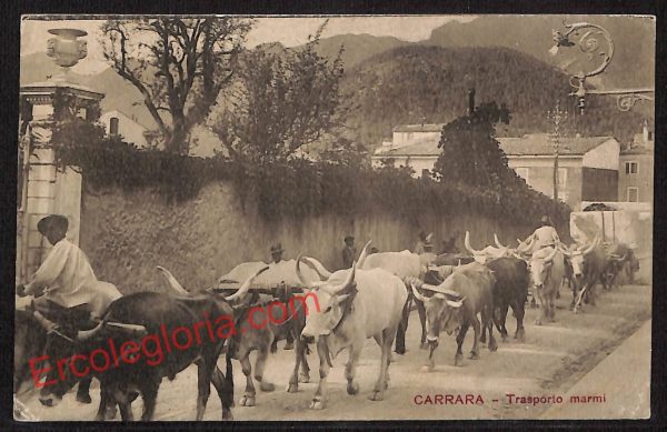ag7941 - CARTOLINA D'EPOCA - Massa Carrara Città - Trasporto marmi