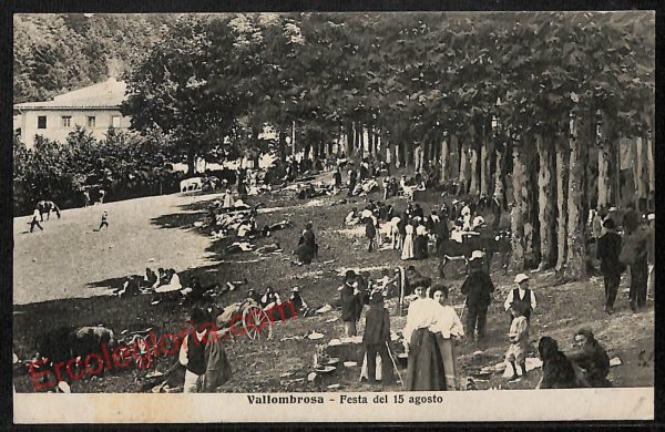 ag0093 - CARTOLINA D'EPOCA - Firenze Provincia - Vallombrosa