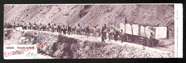 ag7960 - CARTOLINA D'EPOCA DOPPIA - Massa Carrara Città - Trasporto di Marmo
