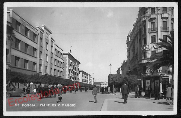 ag0125 - CARTOLINA D'EPOCA - Foggia Città - Viale XXIV Maggio
