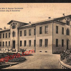 ai0453 - CARTOLINA D'EPOCA - Rieti - R. Stazione Sperimentale di Granicoltura