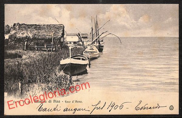 ah7776 - CARTOLINA D'EPOCA - Pisa Provincia - Marina di Pisa