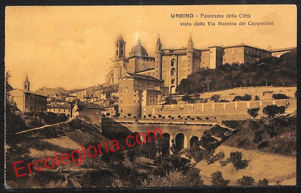 ah6530 - CARTOLINE  D'EPOCA - Urbino Città - Panorama della città