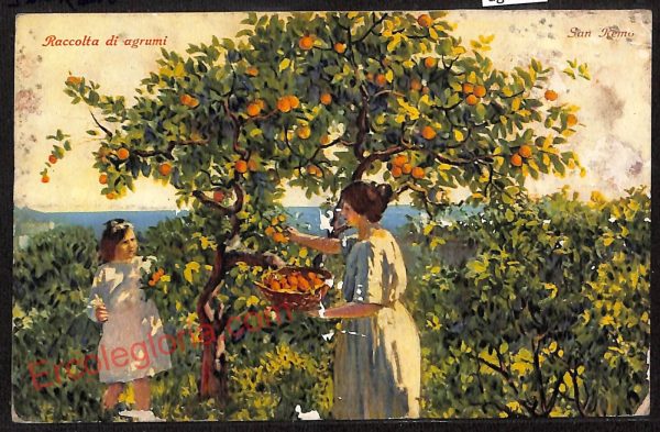ag4842 - CARTOLINA D'EPOCA - Imperia Provincia - Sanremo