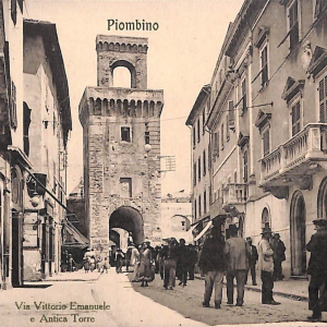 ac8109 - CARTOLINA D'EPOCA - Livorno Provincia - Piombino