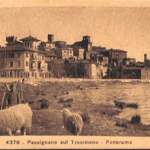 ac3052 - CARTOLINA  D'EPOCA - Perugia Provincia - TRASIMENO  1929