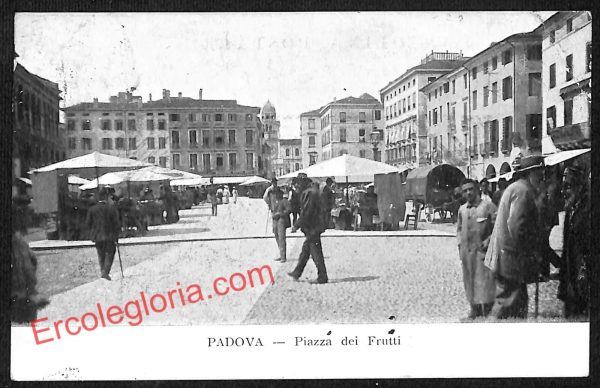 ah4300 - CARTOLINA D'EPOCA - Padova Città - Piazza dei Frutti