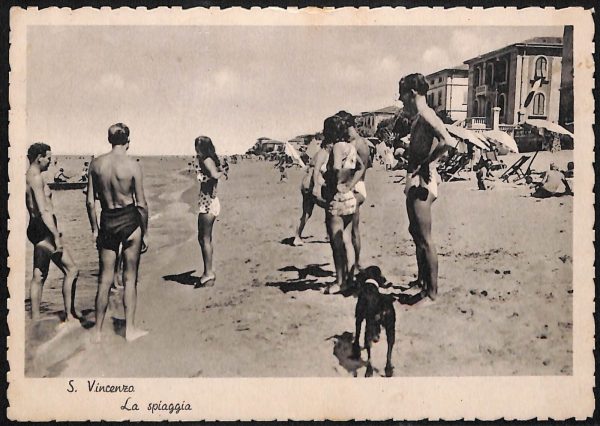 ac8289 - CARTOLINA D'EPOCA - Livorno Provincia - San Vincenzo  1950