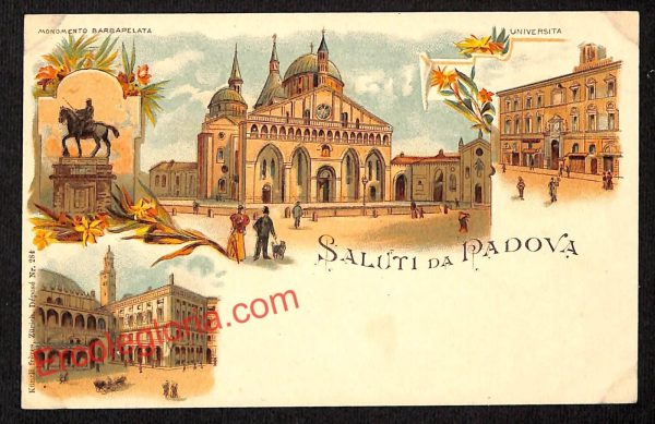 ah4323 - CARTOLINA D'EPOCA - Padova Città - Università