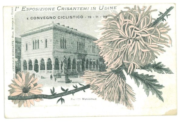 P3001 -UDINE , 1899 CARTOLINA NUOVA, 1A. ESPOSIZIONE CRISANTEMI IN UDINE!!!!!!