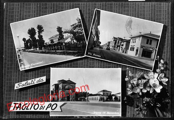 ai1217 - CARTOLINA D'EPOCA - Rovigo Provincia - Taglio di Po