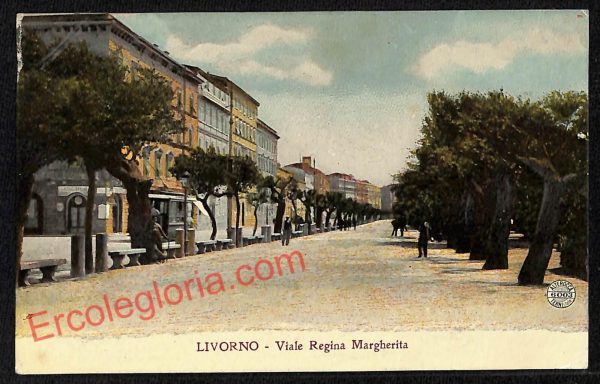 ag5974 - CARTOLINA D'EPOCA - Livorno Città - Viale Regina Margherita  1912