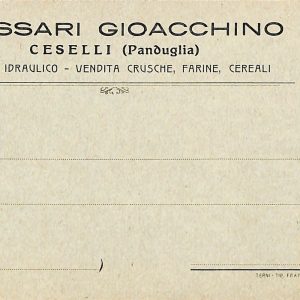 ac2706 - CARTOLINA  D'EPOCA - Perugia Provincia - CESELLI