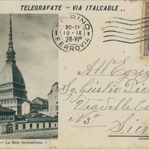 P0294 - ITALIA Regno - STORIA POSTALE - Sass # 231 uso singolo su CARTOLINA 1928