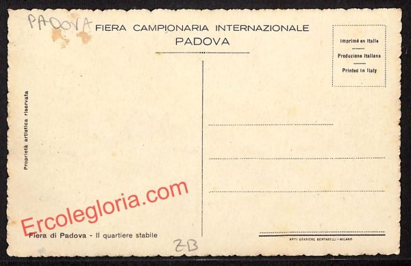 ah4360 - CARTOLINA D'EPOCA - Padova Città - Fiera Campionata Internazionale - immagine 2