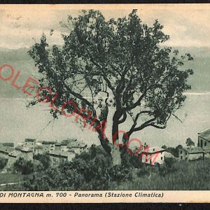 ae3132 - CARTOLINA  D'EPOCA - Verona Città - S. Zeno di Montagna