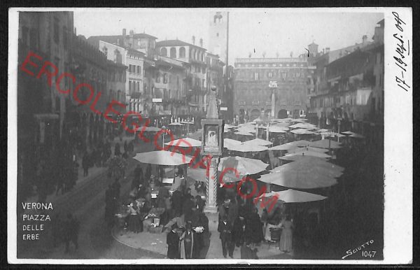 ae3165 - CARTOLINA  D'EPOCA - Verona Città - Piazza delle Erbe