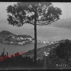 ag1470 - CARTOLINA D'EPOCA - Genova Provincia - Sestri Levante