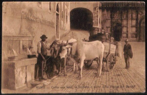 ac3146 - CARTOLINA  D'EPOCA - Perugia Provincia - ASSISI