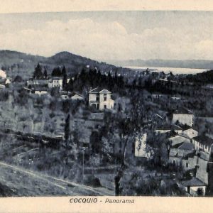 ab4975 -  CARTOLINA  D'EPOCA -  Varese Provincia  :  COCQUIO