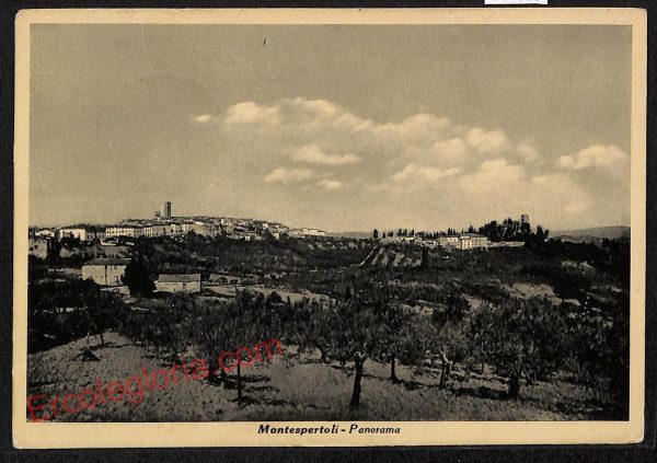 ae7810 - CARTOLINA D'EPOCA - Firenze Provincia - Montespertoli  1952