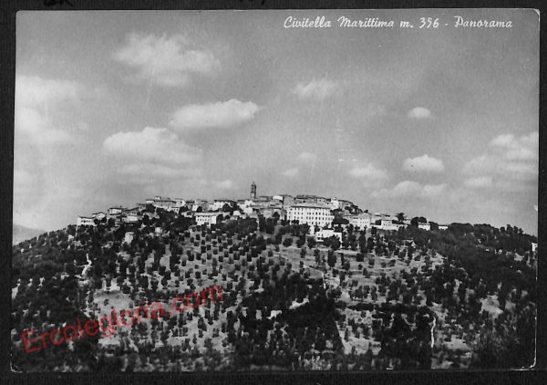 ag1893 - CARTOLINA D'EPOCA - Grosseto Città - Panorama  1954