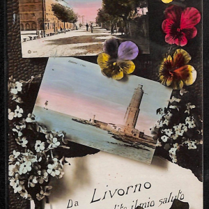 ac7474 - CARTOLINA D'EPOCA - Livorno Città - Viale Regina Margherita