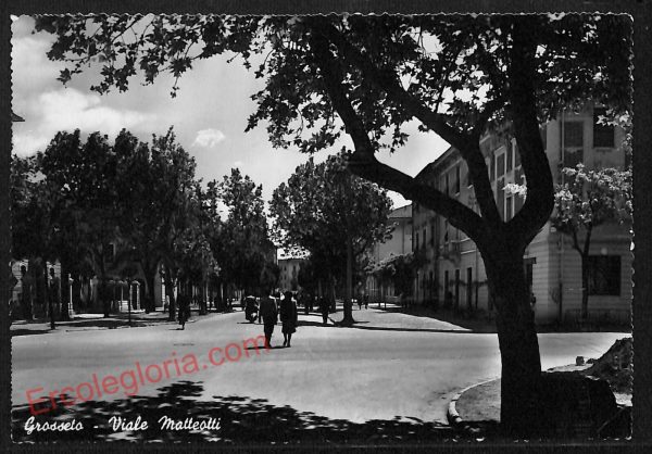 ag1935 - CARTOLINA D'EPOCA- Grosseto Città - Viale Matteotti