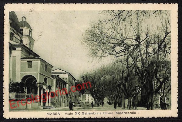 ag7845 - CARTOLINA D'EPOCA - Massa Carrara Città - Viale XX Settembre