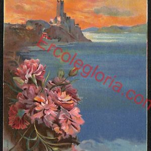 ae3295 - CARTOLINA  D'EPOCA  - Verona Provincia - Malcesine