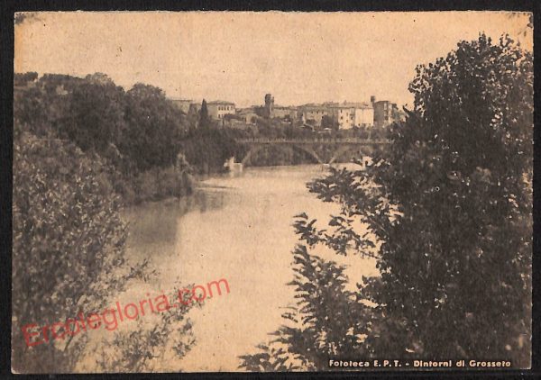 ag1956 - CARTOLINA D'EPOCA- Grosseto Città - Panorama