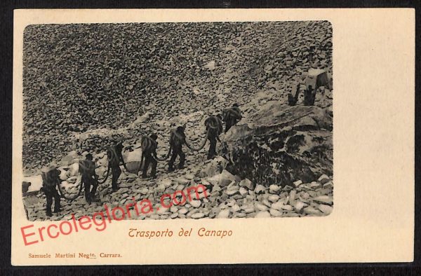 ag7880 - CARTOLINA D'EPOCA - Massa Carrara Città - Trasporto del Canapo