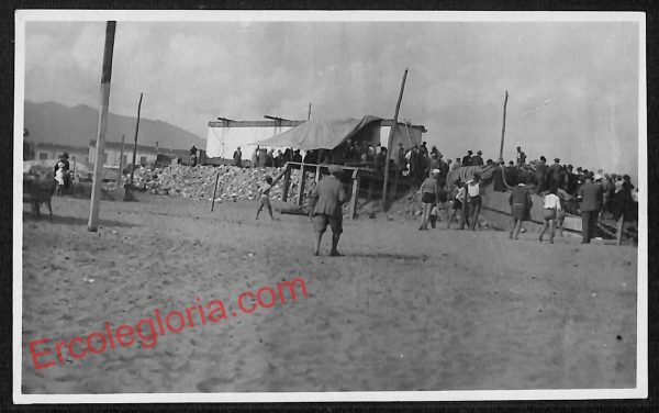 ag7953 - CARTOLINA D'EPOCA - Massa Carrara Città