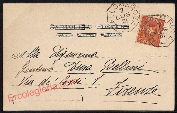 ag0088 - CARTOLINA D'EPOCA - Firenze Provincia - Vallombrosa