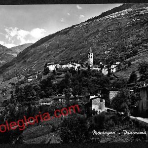 ai7085  - CARTOLINA D' EPOCA - Sondrio Provincia - Montagna
