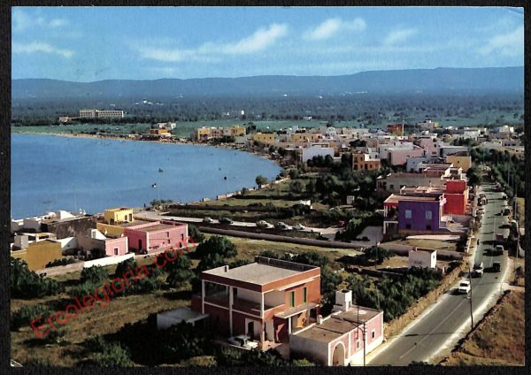 ae4502 - CARTOLINA D'EPOCA - Brindisi Provincia - Torre Canne  1969