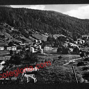 ai7090  - CARTOLINA D' EPOCA - Sondrio Provincia - Madesimo