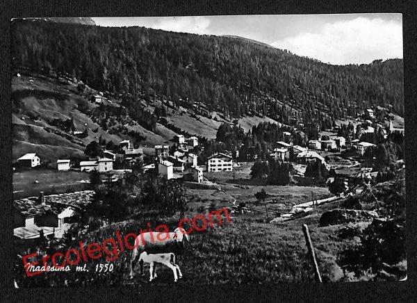 ai7090  - CARTOLINA D' EPOCA - Sondrio Provincia - Madesimo