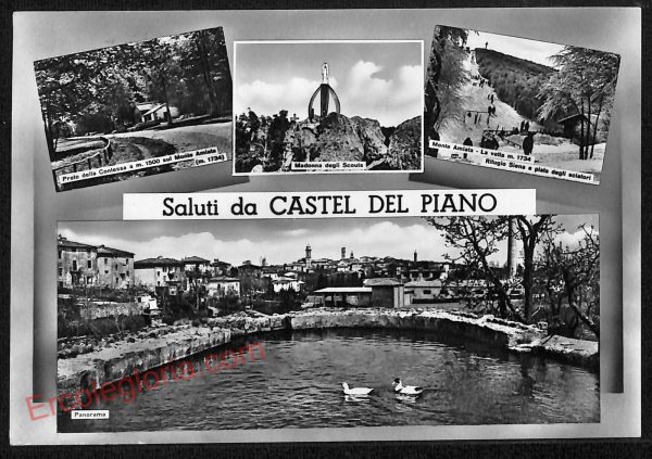 ag2143 - CARTOLINA D'EPOCA - Grosseto Provincia - Castel del Piano