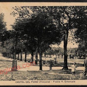 ag2144 - CARTOLINA D'EPOCA - Grosseto Provincia - Castel del Piano  1925