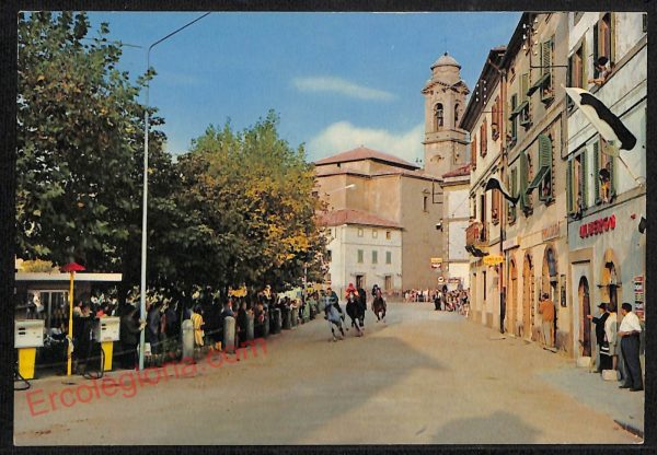 ag2149 - CARTOLINA D'EPOCA - Grosseto Provincia - Castel del Piano
