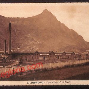 ai8108 - CARTOLINA D'EPOCA - Torino Città - Sant'Ambrogio