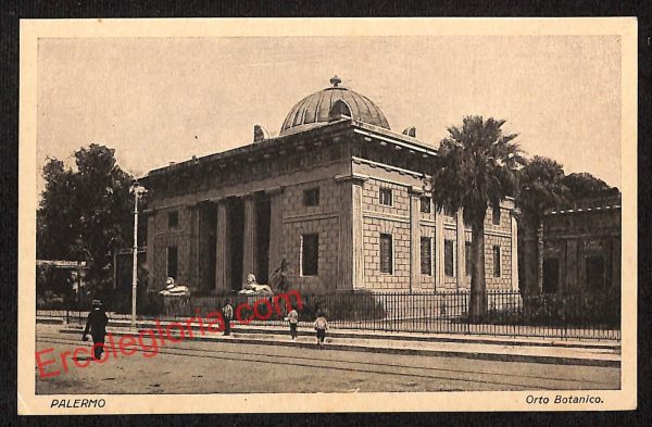 ah4609 - CARTOLINA D'EPOCA - Palermo Città - Orto Botanico
