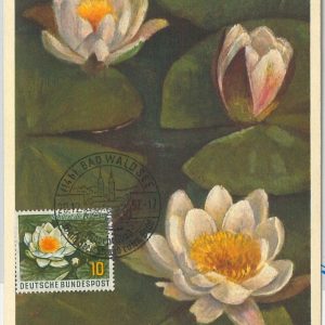 51560  - GERMANY -  POSTAL HISTORY: MAXIMUM CARD - 1957 NATURE: Flowers